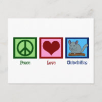 Peace Love Chinchillas