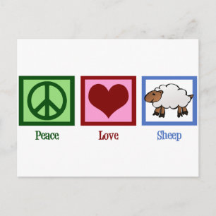 Peace Love Sheep Postcard