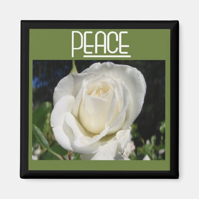 peace magnet (Front)