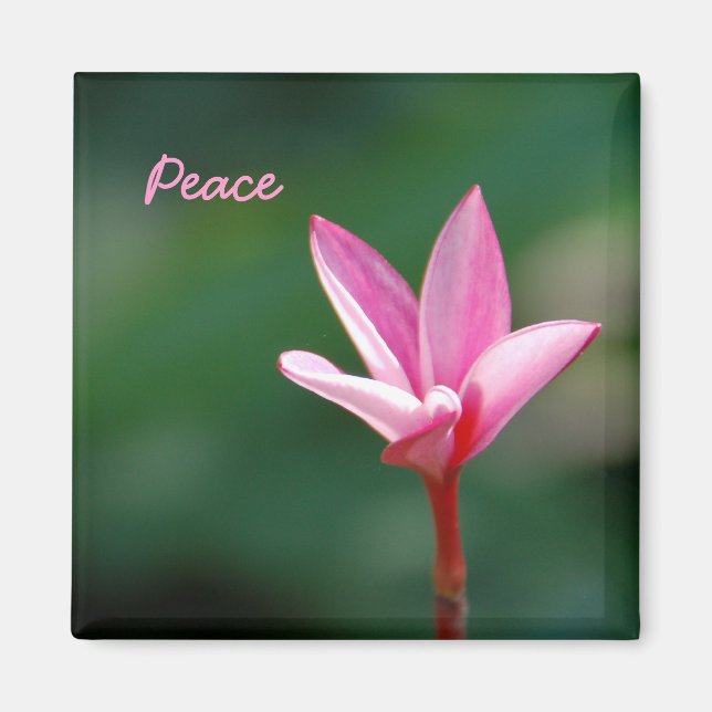 Peace Magnet (Front)