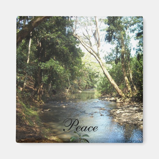 Peace Nature Scene Magnet (Front)