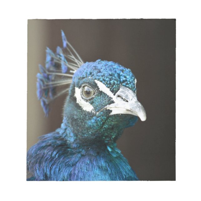 peace notepad (Front)
