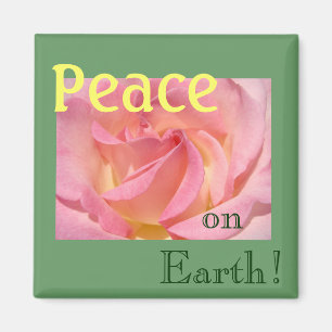 Peace on Earth! magnets Pink Rose Flowers