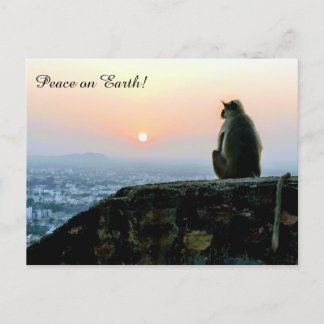 Peace on Earth Meditation Monkey India Sunset Postcard