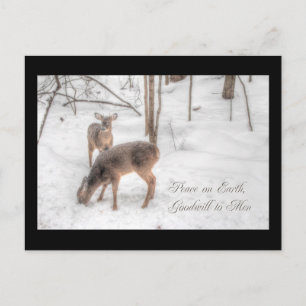 Peace on Earth - Two Deer In Snowy Woods Holiday Postcard
