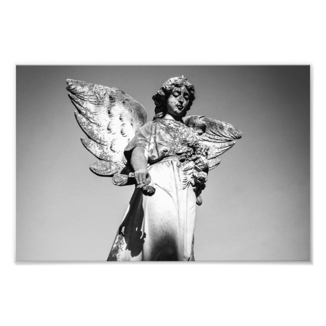 Peace Photo Print (Front)