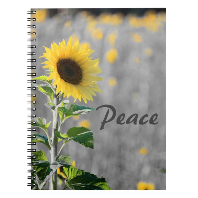 "Peace" Phrase, Field of Sunflowers, Black & White Notebook (Front)