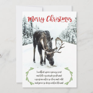Peace Poem with Moose in Winter Snow Scene Holiday Card