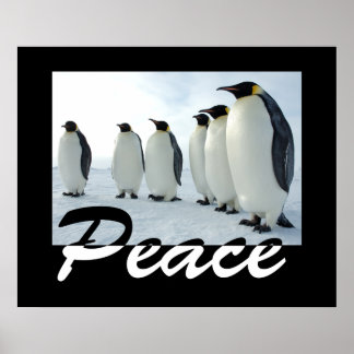 Peace Poster