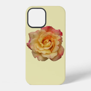 Peace Rose Beautiful Pink and Yellow Floral iPhone 12 Case