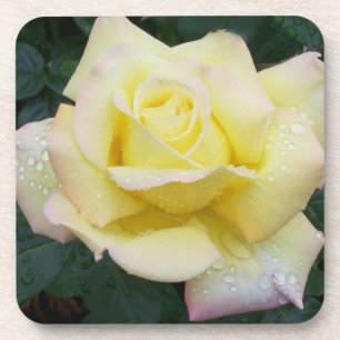 Peace Rose Coaster Set