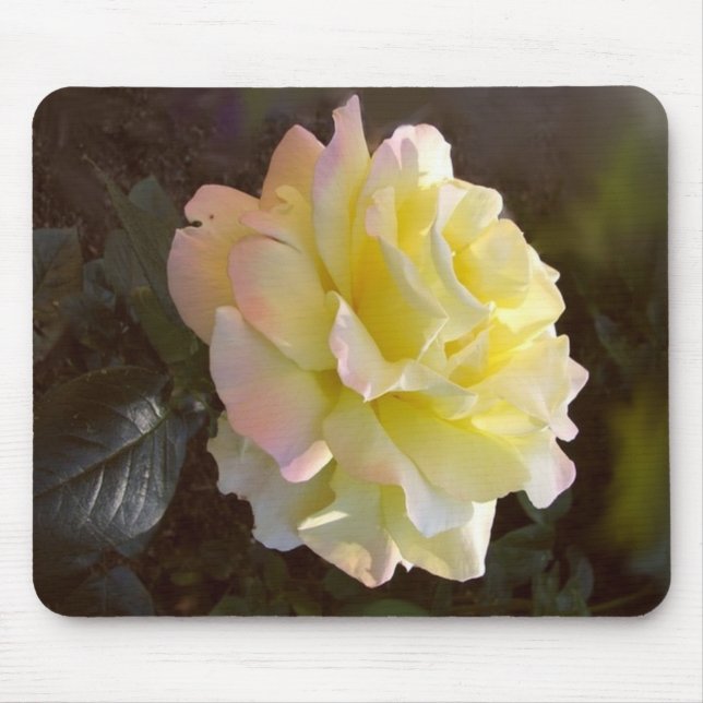 Peace Rose mousepad (Front)