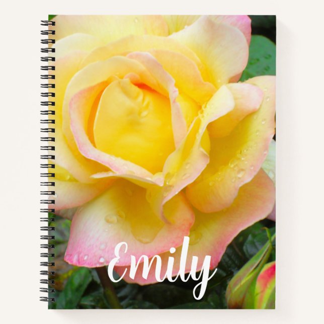 Peace Rose Photo Notebook (Front)