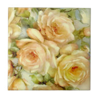 Peace Roses