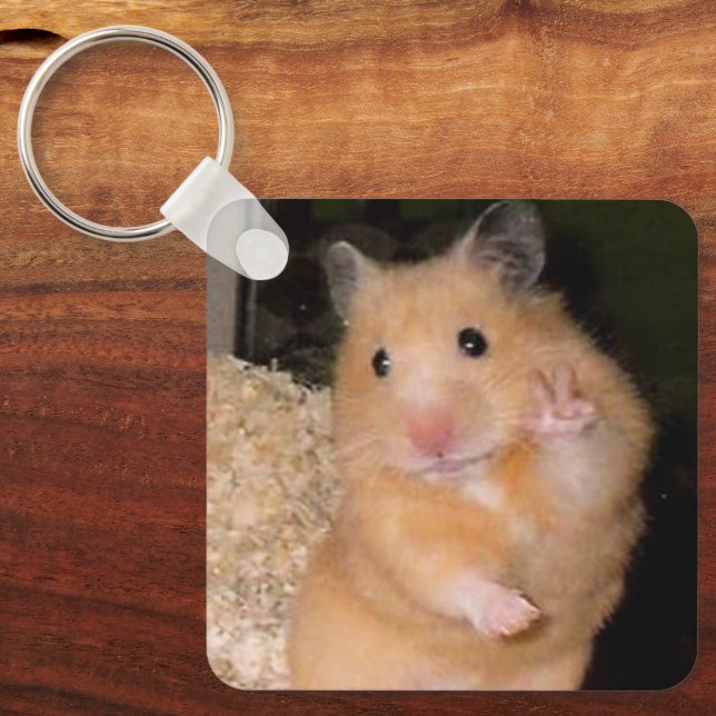 Peace + Scared Hamster Meme Double Sided Keychain (Front)