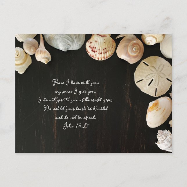 Peace Scripture Comfort Seashells Wood Postcard (Front)
