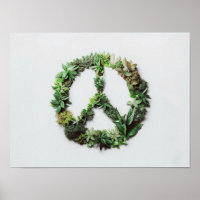 Peace Sign Made out of Leaves