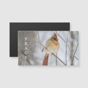 Peace Winter Cardinal Photo Magnet Card