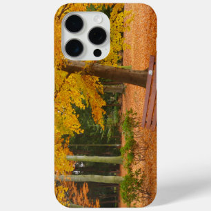 Peaceful and Quiet Autumn in the Park iPhone 15 Pro Max Case