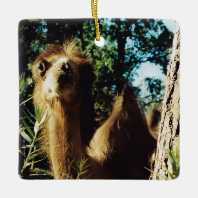 Peaceful Baba Ceramic Ornament (Front)