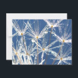 Peaceful Blue and White Dandelion With Dew Postcard<br><div class="desc">A dew covered dandelion rejoices in the summer sun in this happy, joyful, nature photograph. When I first saw this dandelion sparkling in the morning sun my heart skipped a beat! I imagined I was a fairy so I could fly, soar, right inside and sit under the poofs, feel the...</div>
