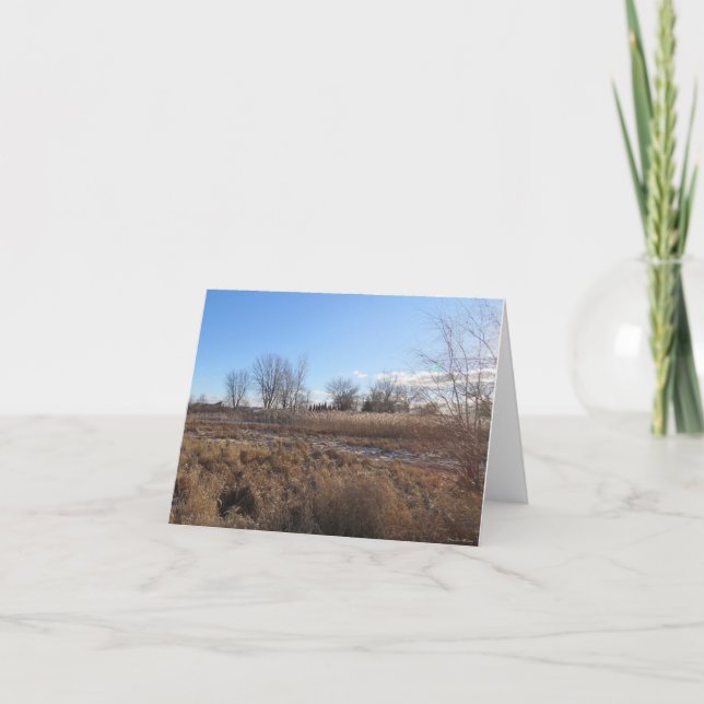 Peaceful Blue Skies - Blank Greeting Card (Front)