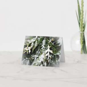 Peaceful Christmas - Snowy Pine Tree Branches Card