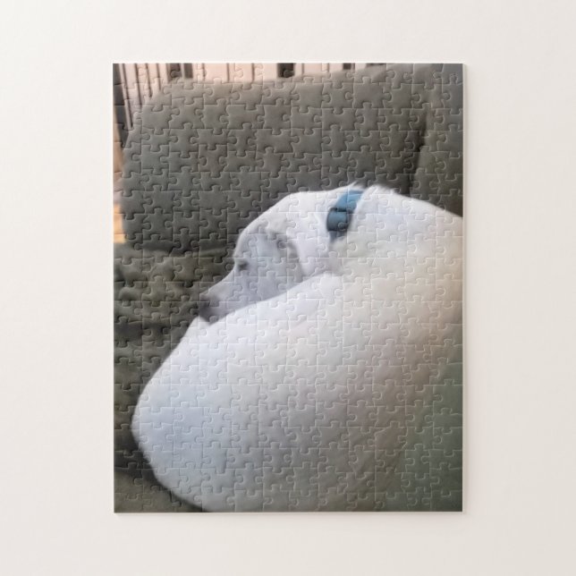 Peaceful Chubby Puppy Dog Sleeping on Couch Jigsaw Puzzle (Vertical)