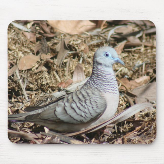 Peaceful Dove - Geopelia placida Mouse Pad (Front)