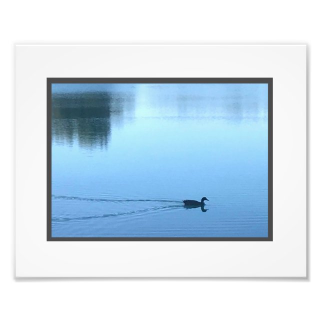 Peaceful Duck in water photo print (Front)