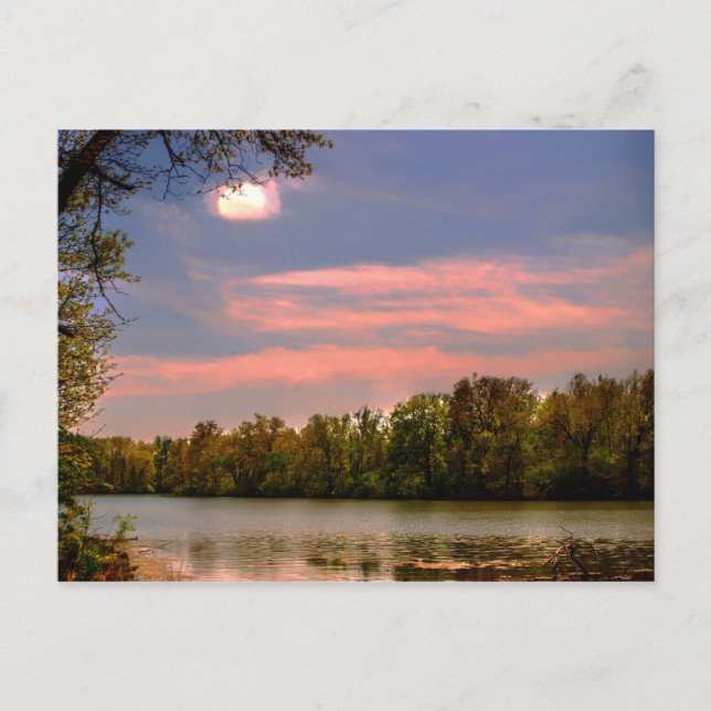Peaceful Elegance Postcard (Front)