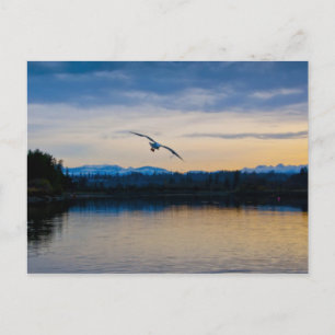 Peaceful Evening Postcard