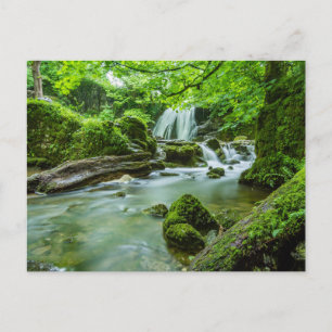 Peaceful Forest Waterfall Photo Postcard