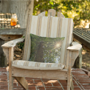 Peaceful Forest With Golden Light Nature Photo Cushion