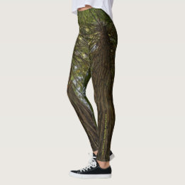 Peaceful Forest With Golden Light Photo Legging