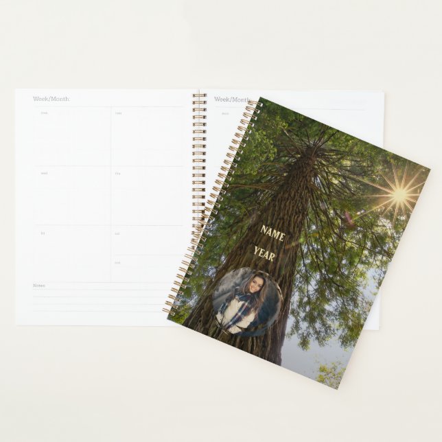 Peaceful Forest with Golden Light Sunburst Photo Planner (Display)