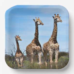 Peaceful Giraffe Family on Hilltop Paper Plate