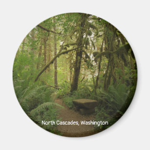 Peaceful Green Forest Trail in Washington Magnet