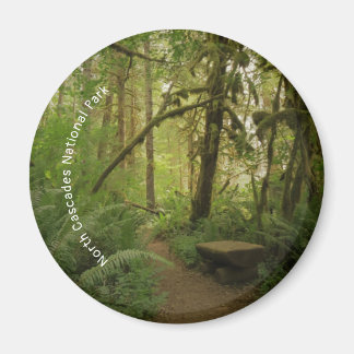 Peaceful Green Forest Trail in Washington Magnet