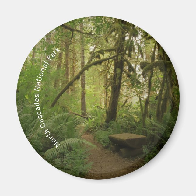 Peaceful Green Forest Trail in Washington Magnet (Front)