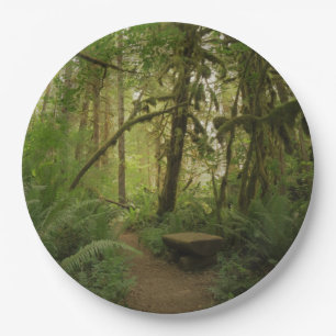 Peaceful Green Forest Trail in Washington Paper Plate