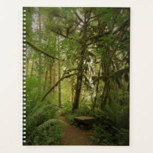 Peaceful Green Forest Trail in Washington Planner