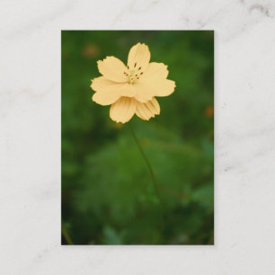 Peaceful Harmony Mini Print Business Card