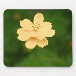 Peaceful Harmony Mouse Pad