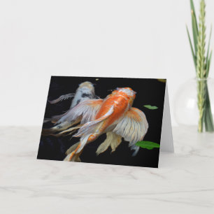 Peaceful Koi Koi Fish Photography Blank Card
