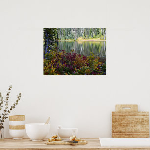 Peaceful Lake Vibrant Fall Colour Landscape Poster