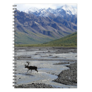 PEACEFUL LANDSCAPE WITH REINDEER NOTEBOOK