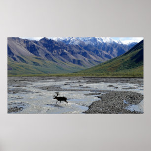 PEACEFUL LANDSCAPE WITH REINDEER POSTER