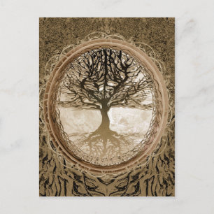 Peaceful Living Tree Postcard
