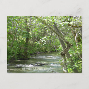 Peaceful moments... postcard
